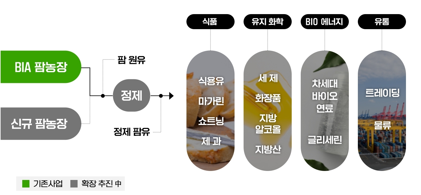 식량, 왜 중요한가? - 포스코인터내셔널 매거진