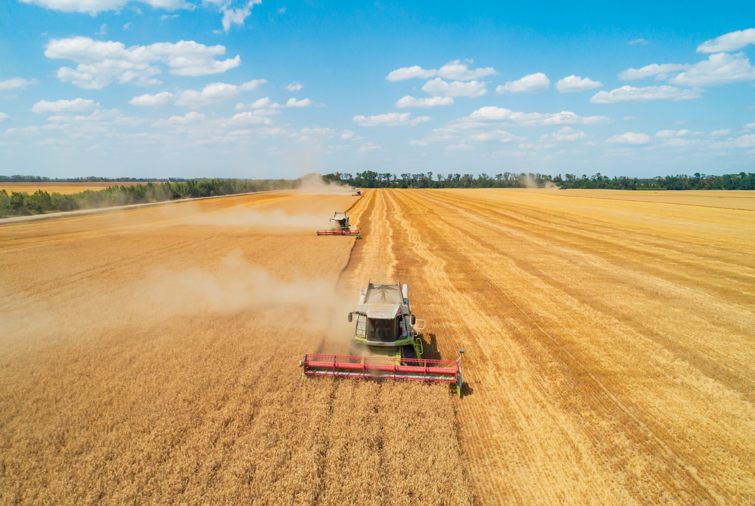 포봇에게 포스코인터내셔널을 묻다 – 식량 트레이딩 편] 전 세계인의 밥상이 흔들린다, 식량 트레이딩의 숨은 힘 - 포스코인터내셔널 매거진